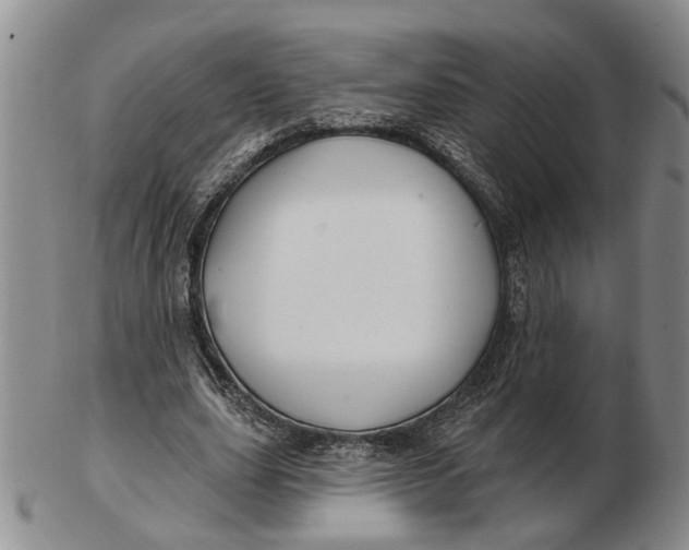 X0000102790631200809081050