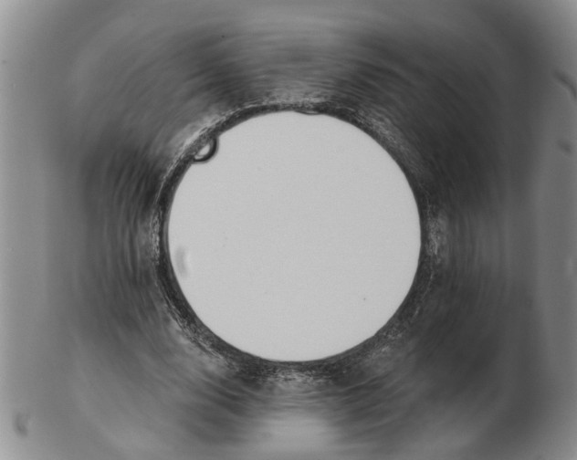 X0000102790632200809081050