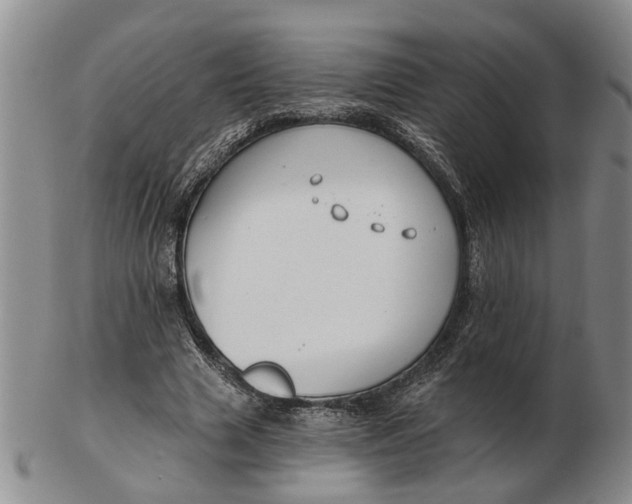 X0000102790633200809081050