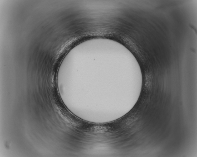 X0000102790636200809081050