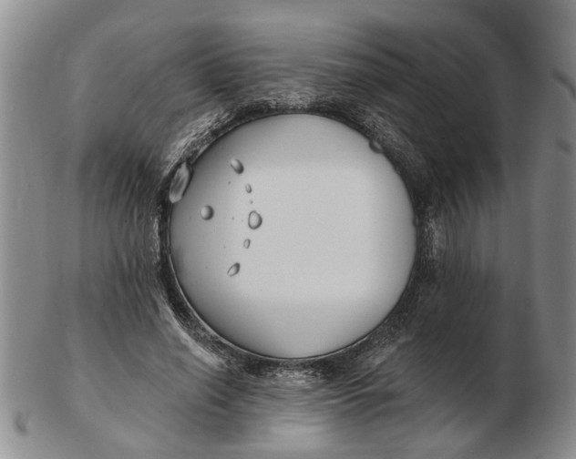 X0000102790638200809081050