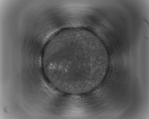 X0000102790640200809081050