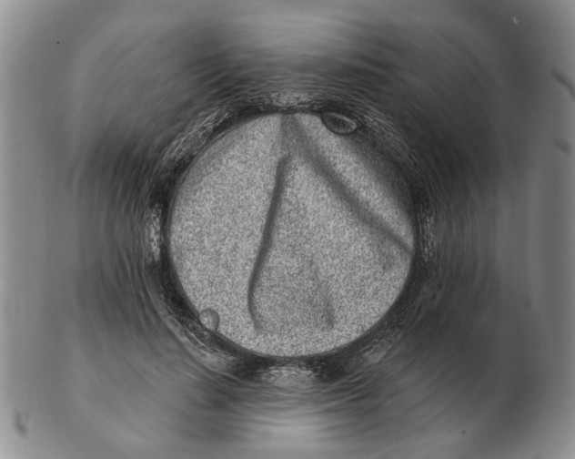 X0000102790644200809081050