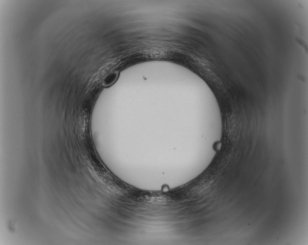 X0000102790645200809081050