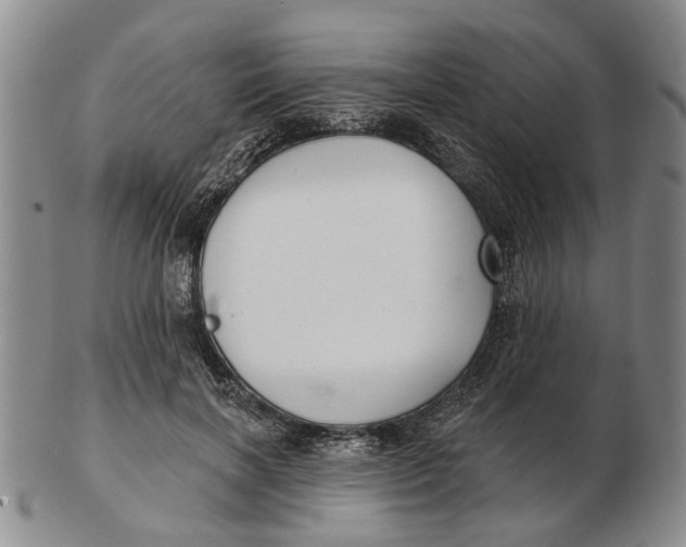 X0000102790646200809081050