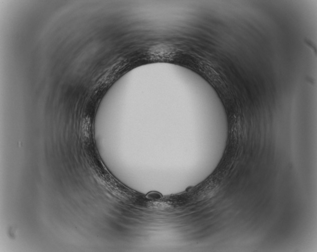 X0000102790649200809081050