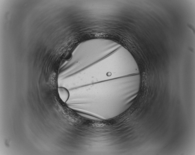 X0000102790650200809081050