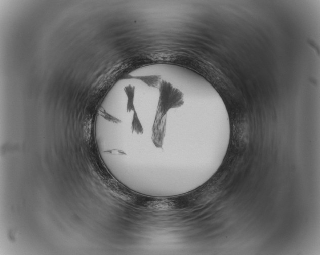 X0000102790652200809081050