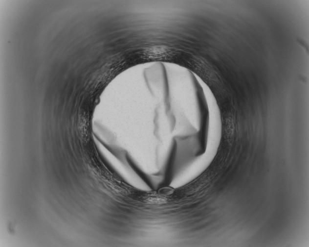 X0000102790653200809081050