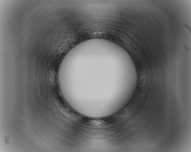 X0000102790654200809081050