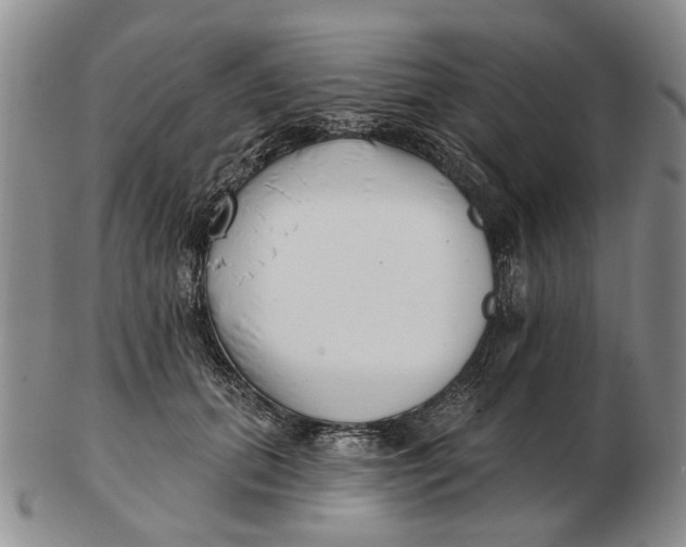 X0000102790655200809081050