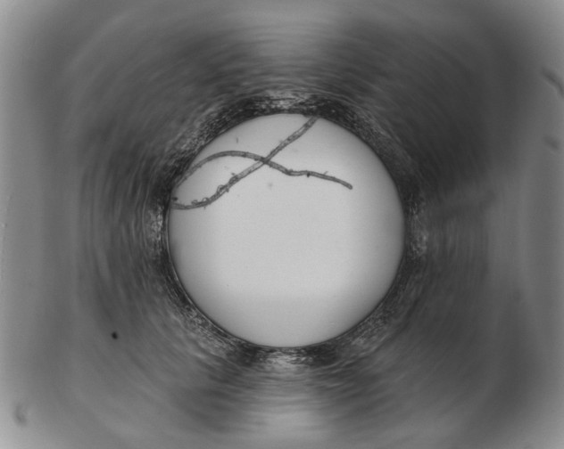 X0000102790657200809081051