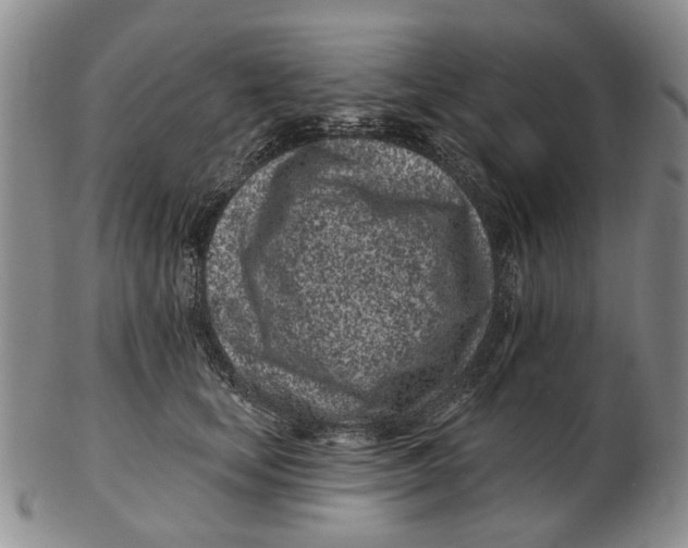 X0000102790659200809081051