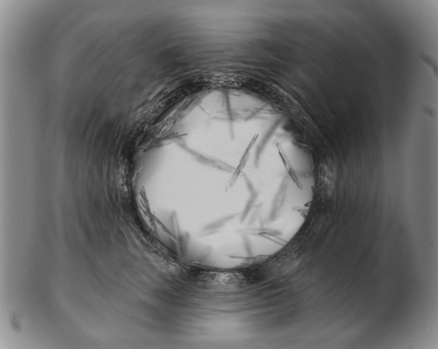 X0000102790663200809081051