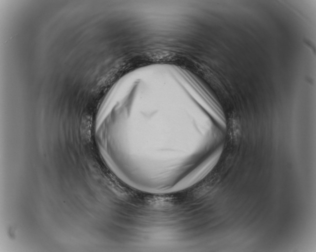 X0000102790664200809081051