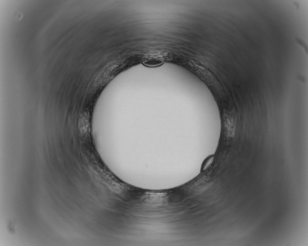 X0000102790665200809081051