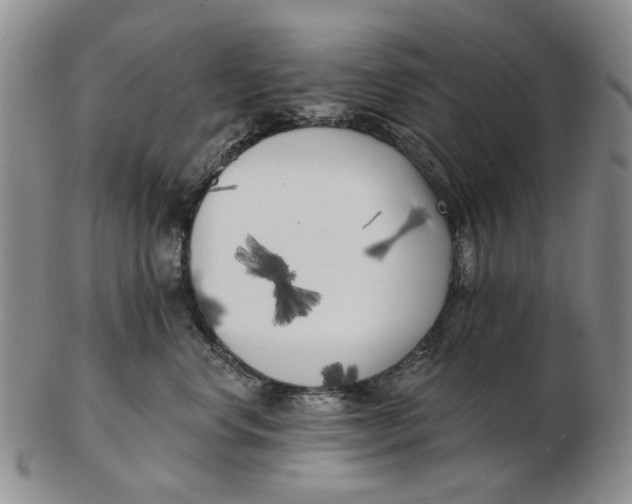 X0000102790668200809081051