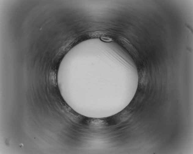 X0000102790669200809081051