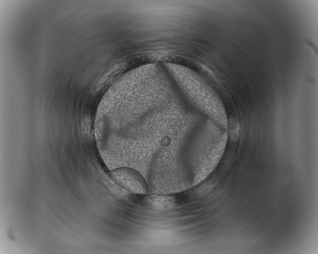 X0000102790670200809081051