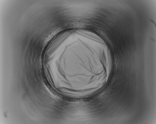 X0000102790674200809081050