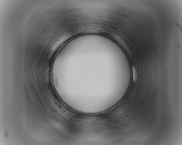 X0000102790675200809081050