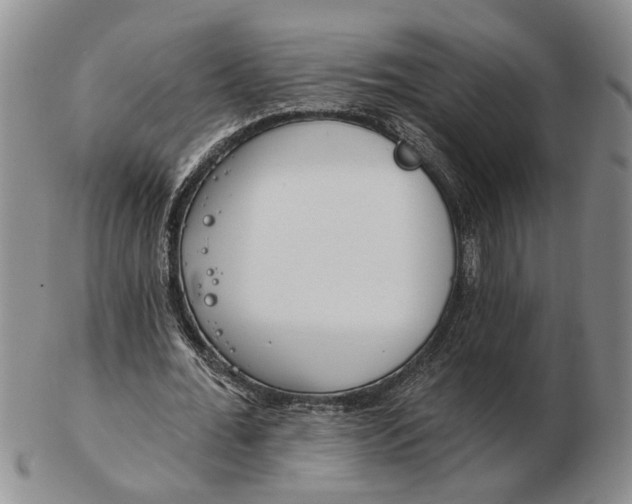 X0000102790676200809081050