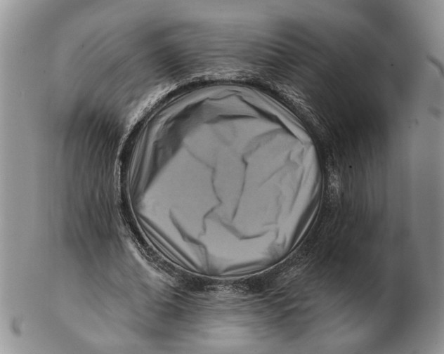 X0000102790678200809081050