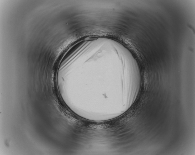 X0000102790679200809081050