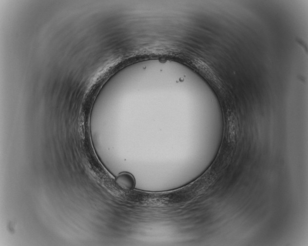 X0000102790680200809081050