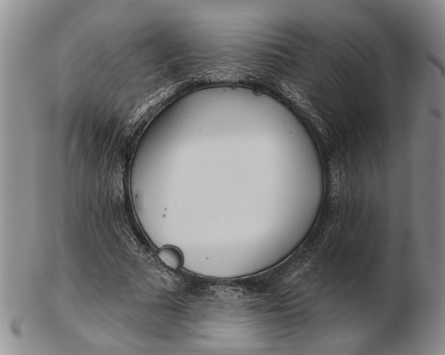 X0000102790681200809081050