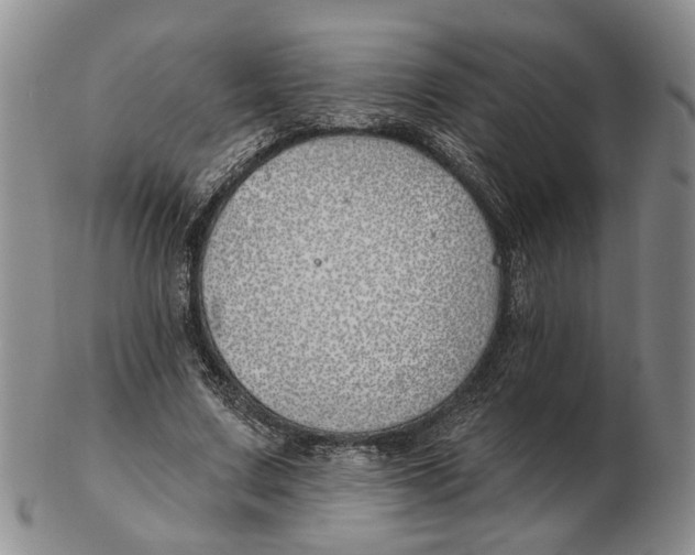 X0000102790683200809081050