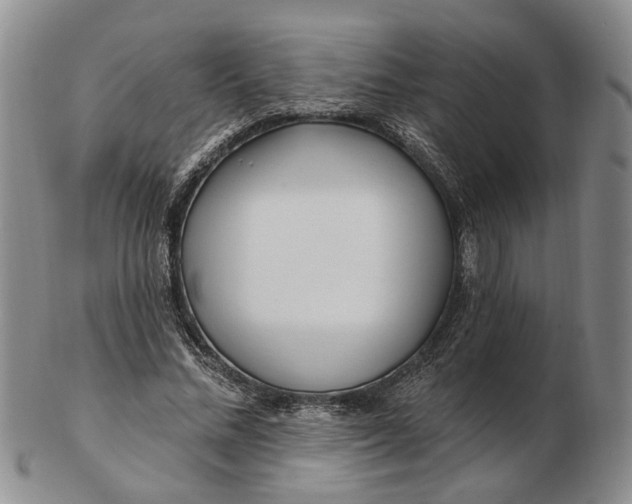 X0000102790684200809081050