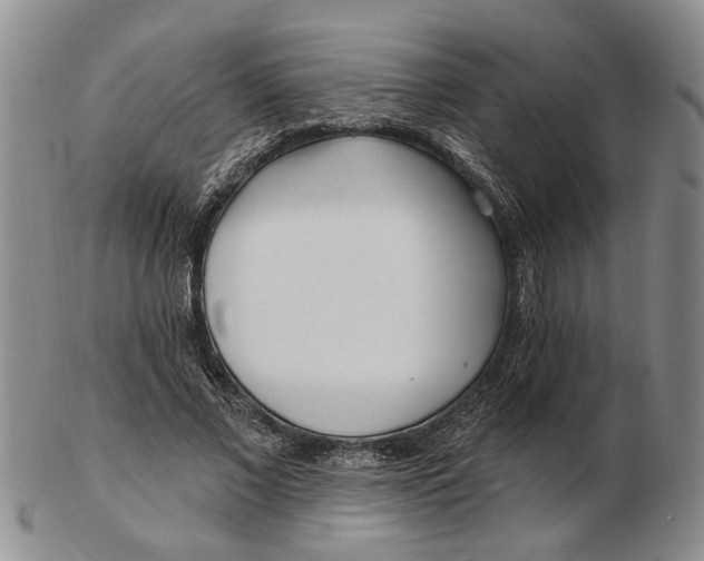 X0000102790685200809081050