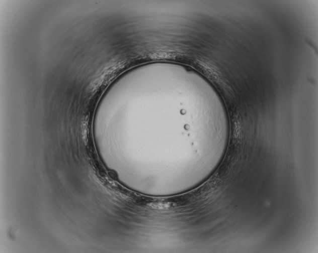 X0000102790687200809081050