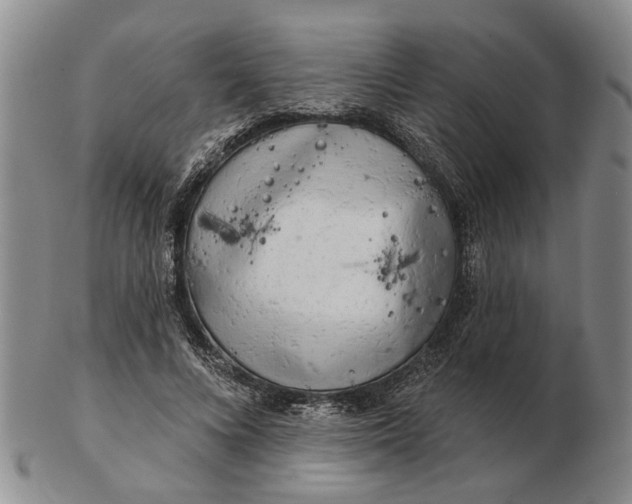 X0000102790688200809081050