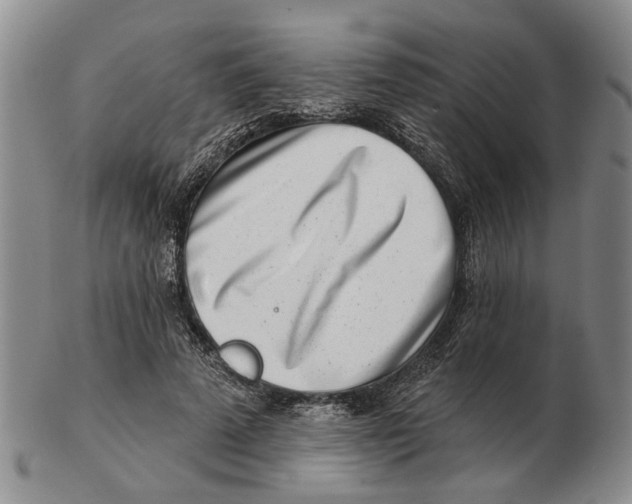 X0000102790689200809081050