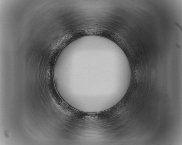 X0000102790690200809081050