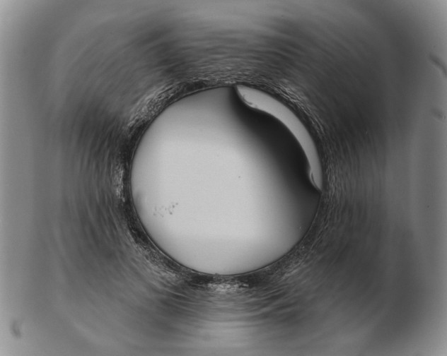 X0000102790693200809081050