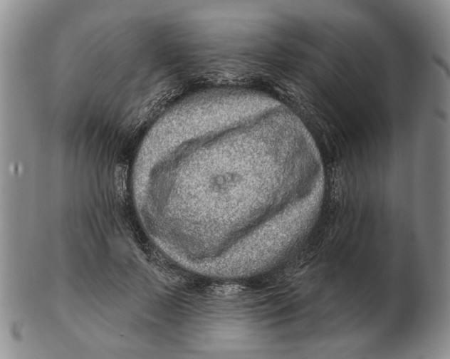 X0000102790695200809081050