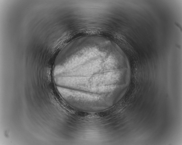 X0000102790696200809081050