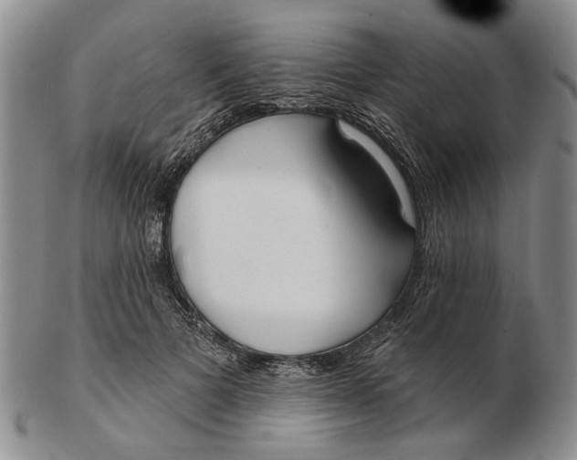 X0000102790697200809081050