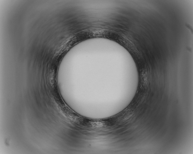 X0000102790698200809081050