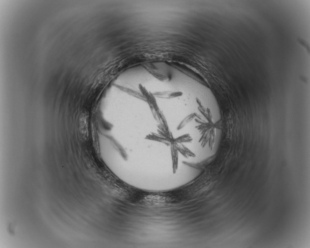 X0000102790699200809081050