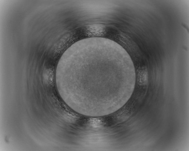 X0000102790701200809081049