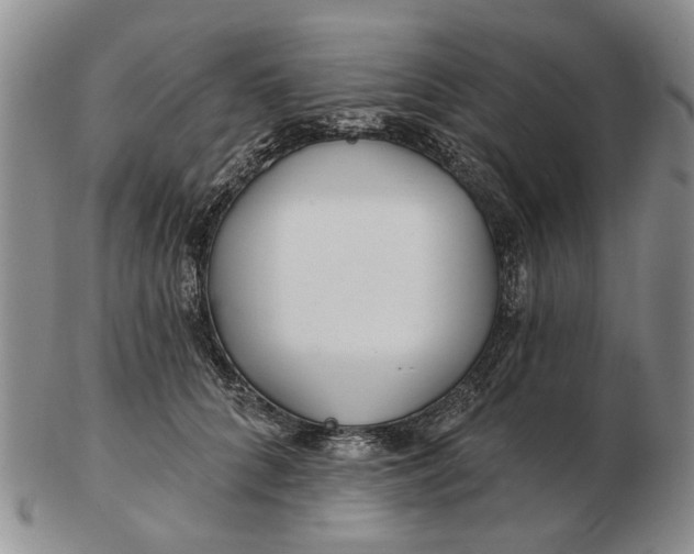 X0000102790704200809081049