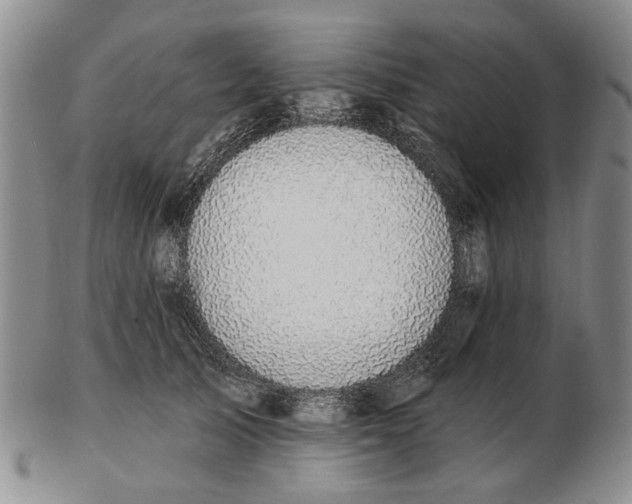 X0000102790705200809081049