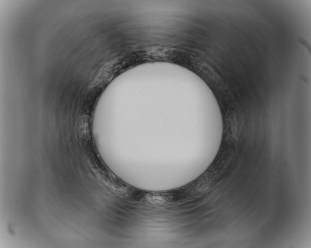 X0000102790706200809081049