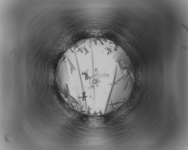 X0000102790707200809081049