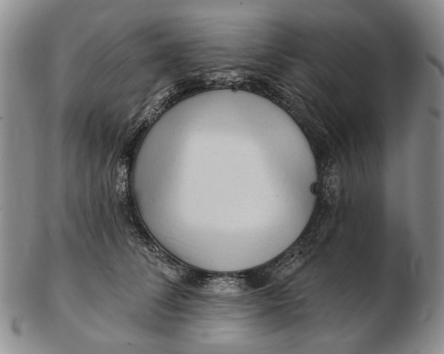 X0000102790708200809081049