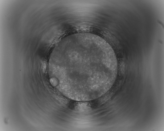 X0000102790709200809081049